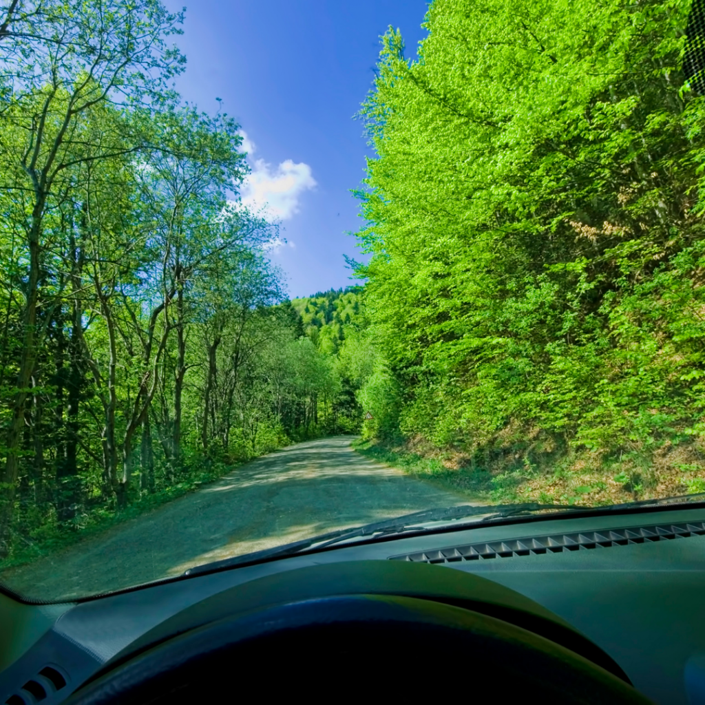 spring driving tips